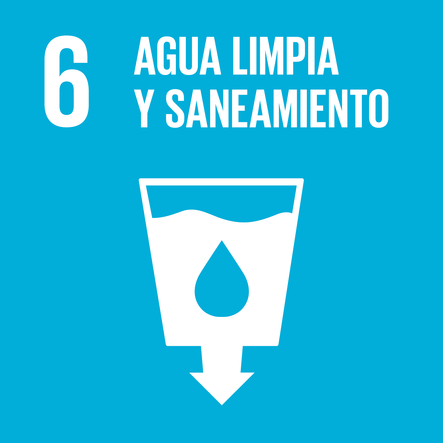 Garantizar la disponibilidad de agua y su gestión sostenible y el saneamiento para todos